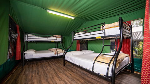 Binna Burra Sky Lodges - Accommodation ACT 5