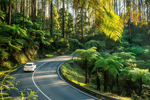 Lithgow Falls Marysville - Accommodation ACT 6