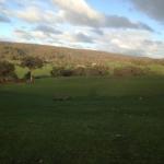 Mancuso Country Cottage Retreat - Accommodation ACT 0