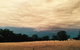 Birchwood Cottage - thumb 2