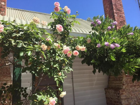 Birchwood Cottage - Accommodation ACT 3