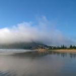 At The Beach & Not Quite At The Beach Holiday Cottages Stanley - Accommodation ACT 0