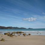 Sisters Beach House - Accommodation ACT 0