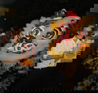 Lion Dance - Accommodation ACT