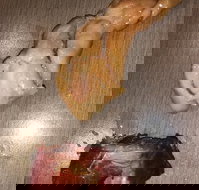 Oriental Garden Chinese Restaurant - Accommodation ACT