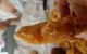 Shark Attack Fish 'n' Chippery - thumb 0