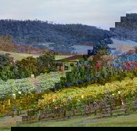 De Bortoli Winery  Restaurant - Accommodation ACT