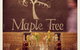 Maple Tree Lorne Seafood Restaurant - thumb 0
