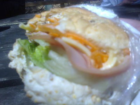 Anglesea Bakery - Accommodation ACT 0