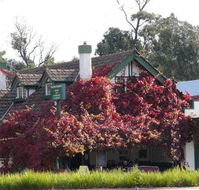 Fetching Treasures - Accommodation ACT