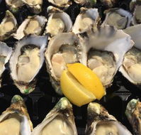 The Oyster Shed - Accommodation ACT