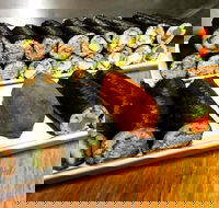 Freewave Sushi  Burgers - Accommodation ACT