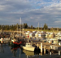 Horse  Camel - Accommodation ACT