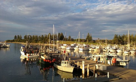 Horse & Camel - Accommodation ACT 0