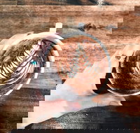 The Anchor Coffee House - Accommodation ACT