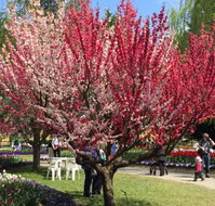 Mirchi Indian Cuisine - Accommodation ACT