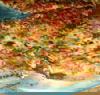 Al Pesto - Accommodation ACT