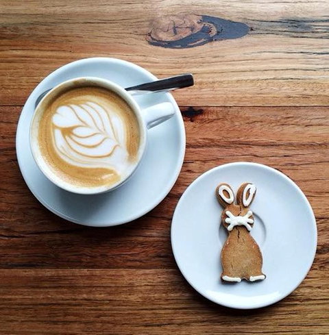 Little Green Corner - Accommodation ACT 2