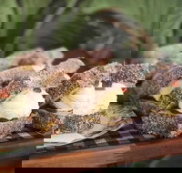 Parmi Bandit - Accommodation ACT