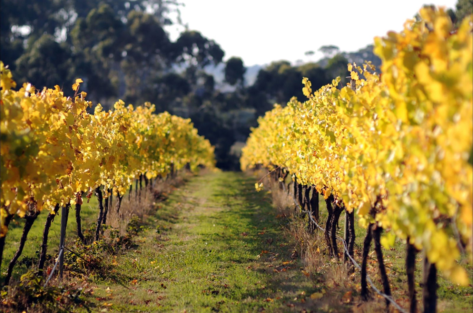 Pomborneit East VIC Accommodation ACT