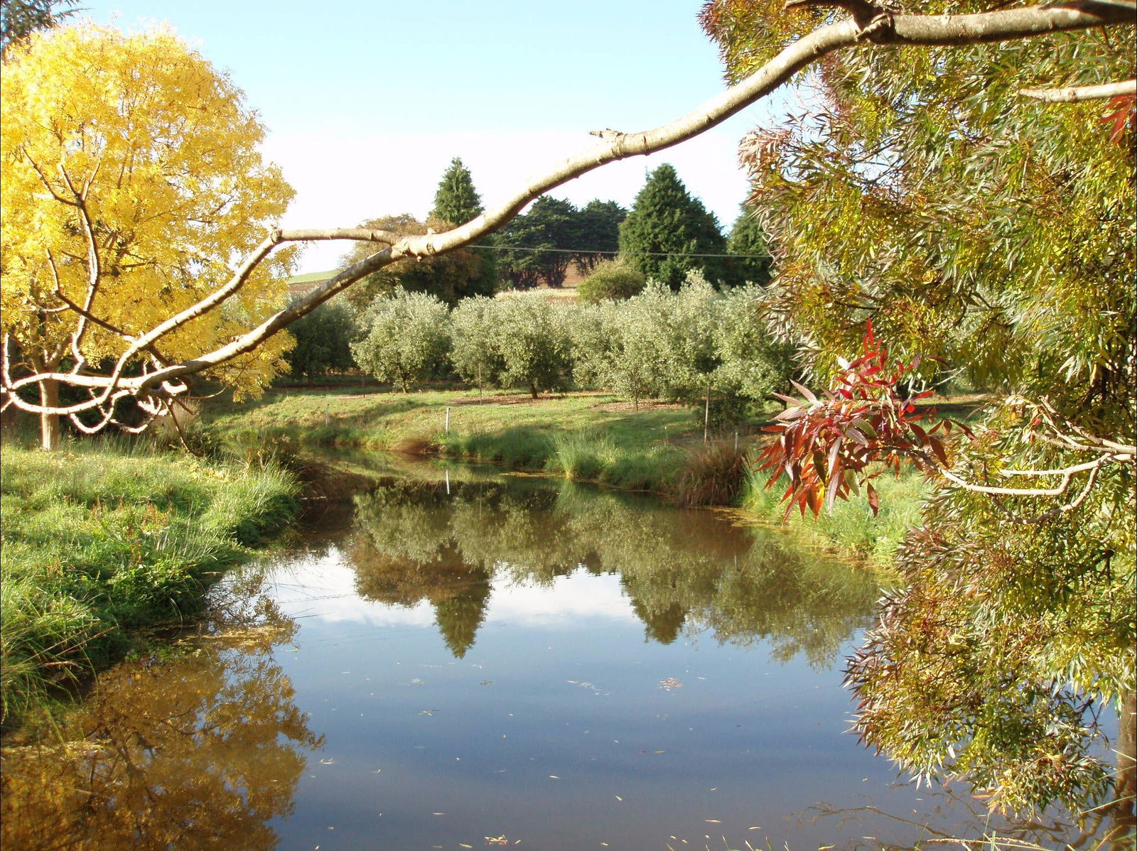 Abbotsham TAS Accommodation ACT