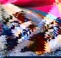 Donut King - Point Cook - Accommodation ACT