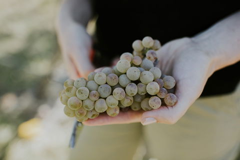 Rowlee Vine To Table Experience - Accommodation ACT 1