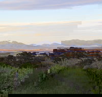 Castle Rock Estate Winery - Accommodation ACT