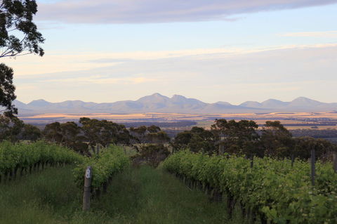 Castle Rock Estate Winery - Accommodation ACT 0