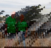 Milawa Organic Beef - Accommodation ACT