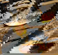 Perso - Accommodation ACT