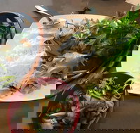 Thien An - Accommodation ACT