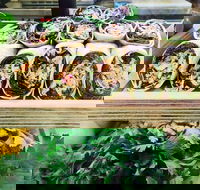 Salud Expresso Bar - Accommodation ACT