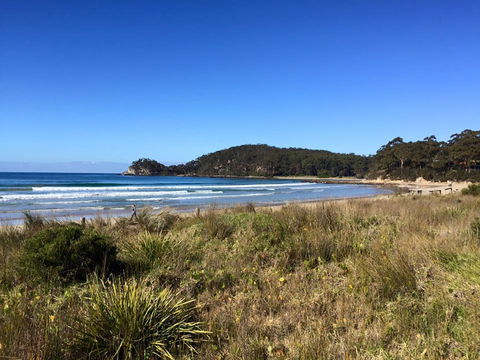 Surf Beach Cafe - Accommodation ACT 0