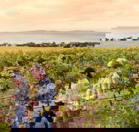 Boston Bay Wines - Accommodation ACT
