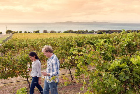 Boston Bay Wines - Accommodation ACT 0