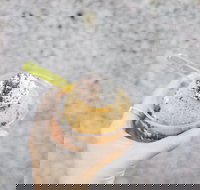 Spice Cottage - Accommodation ACT