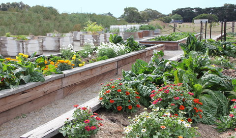 The Farmer's Place - Accommodation ACT 0