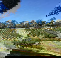Cherrytime Orchard - Accommodation ACT