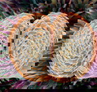 La Bouche - Accommodation ACT