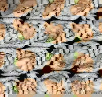 Sushi Pia - Accommodation ACT