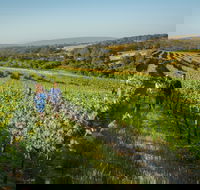 Wills Domain - Accommodation ACT