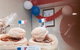 Alain Patisserie - thumb 0