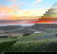 Cape Bernier Vineyard - Accommodation ACT