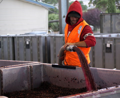 Haselgrove Wines - Accommodation ACT 2