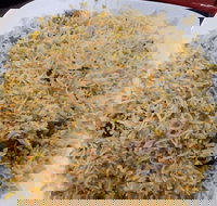 Man-O-Salwa - Clayton - Accommodation ACT