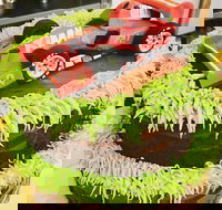 Runaway Cupcakes - Accommodation ACT