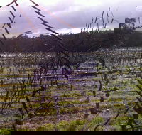 Darlington Vineyard - Accommodation ACT