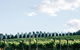 Passing Clouds - thumb 1
