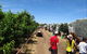 Payne's Orchards - thumb 1